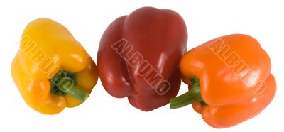 sweet  peppers of three colors