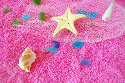 Seashell collection