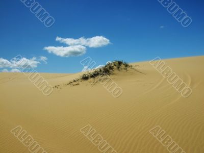 Sand dune in Australia