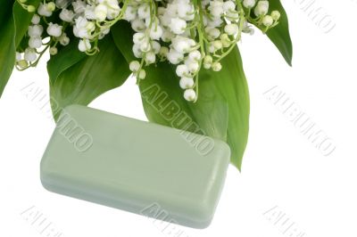 Mayflower soap