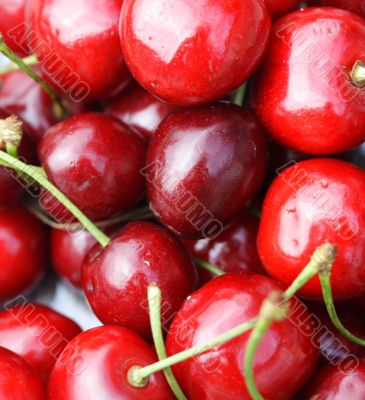 cherries
