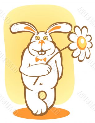 rabbit and chamomile