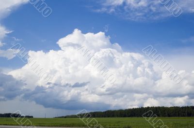 Cloudscape over forest