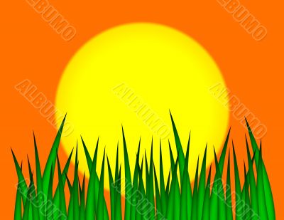 Sun and Grass Illustration