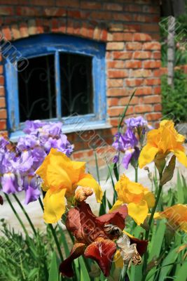 country house