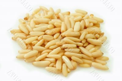 Pine nut