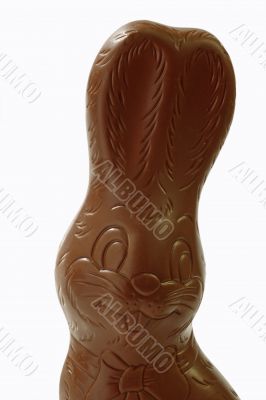 Chocolate easter bunny