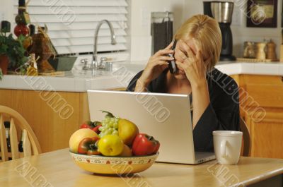 Woman on Cell Phone & Laptop