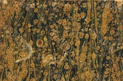 cover detail