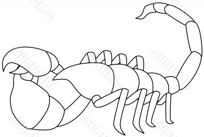 Scorpion