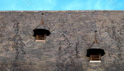 Roof of Town Hall, Lubek, Germany