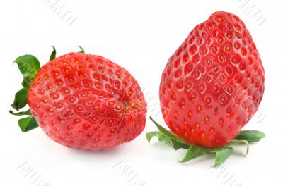 strawberries on white