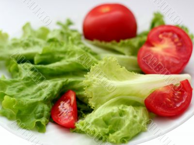 Red tomato and green salad