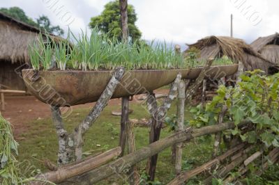 Flying bomb as flower-pot