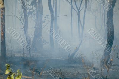 smoke after the fire
