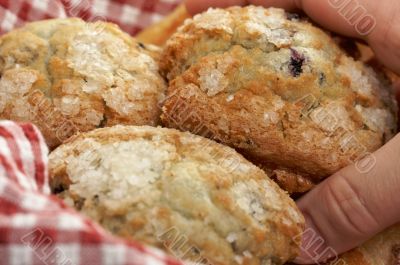 Blueberry Muffins in Basket