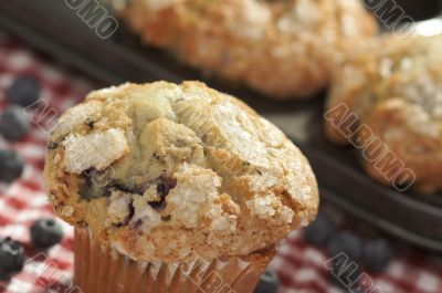Fresh Blueberry Muffins