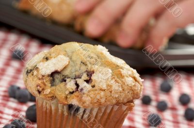 Fresh Blueberry Muffins