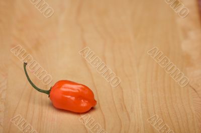 Orange Chili Pepper