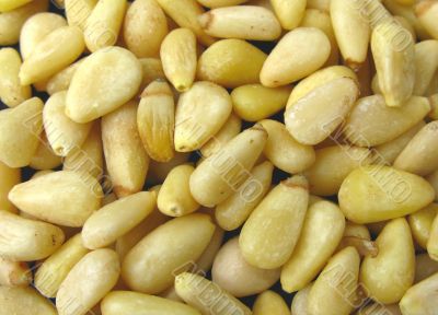 pine nuts background