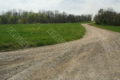 Country road and meadow.