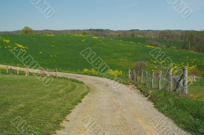 Country road and meadow.