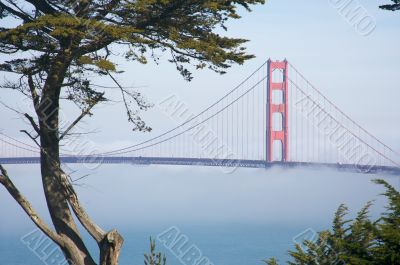 The Golden Gate Bridge in the Morning Fog