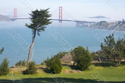 The Golden Gate Bridge in the Morning Fog