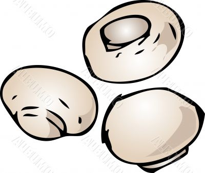 Button mushrooms