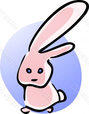 Cute bunny