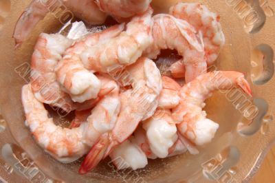 Cooked prawn