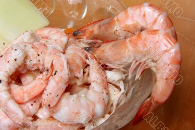 Shrimp cocktail