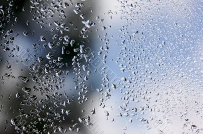 Rain Drops on Window