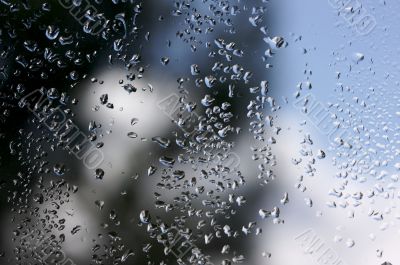 Rain Drops on Window