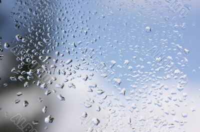 Rain Drops on Window
