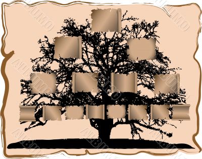 Genealogical tree