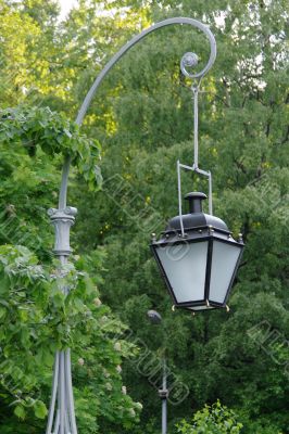 Street-lamp in front of the trees in the park