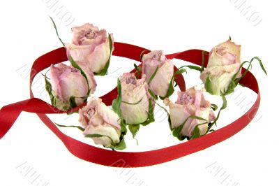 Dead Rosebuds