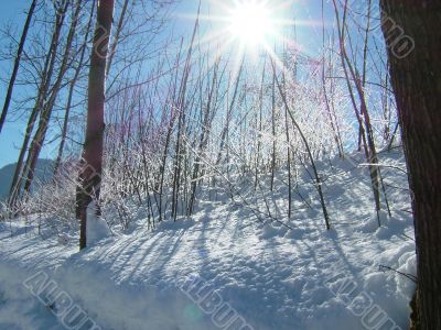 wintersun