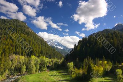 Mountain Spring
