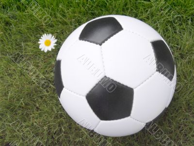 Soccer ball