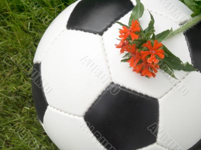 Soccer ball