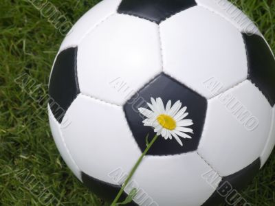 Soccer ball