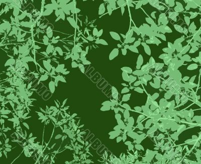 gum leaves backdrop