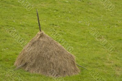 Hay rick