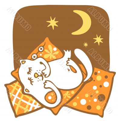 sleeping cat