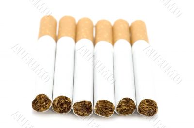 cigarette on white