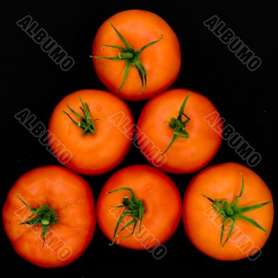 fresh red tomatoes