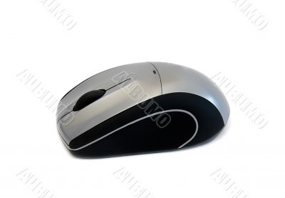 Computer mouse