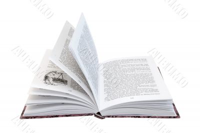 Opened book with english text